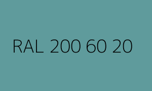 Barva RAL 200 60 20
