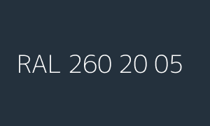 Barva RAL 260 20 05