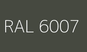 Barva RAL 6007