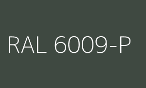 Barva RAL 6009-P