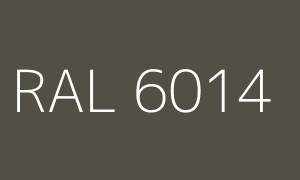 Barva RAL 6014